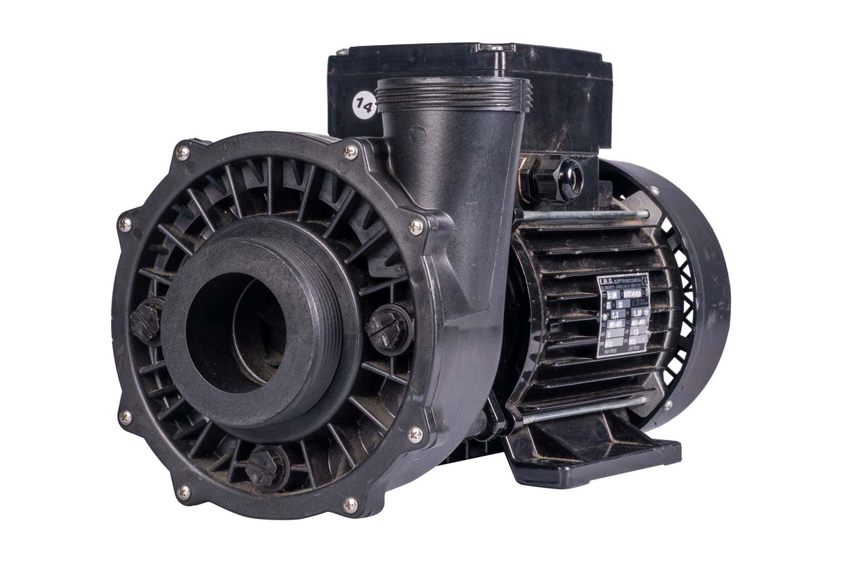 Waterway | Executive Euro Pump - 3 HP, Dual Speed
