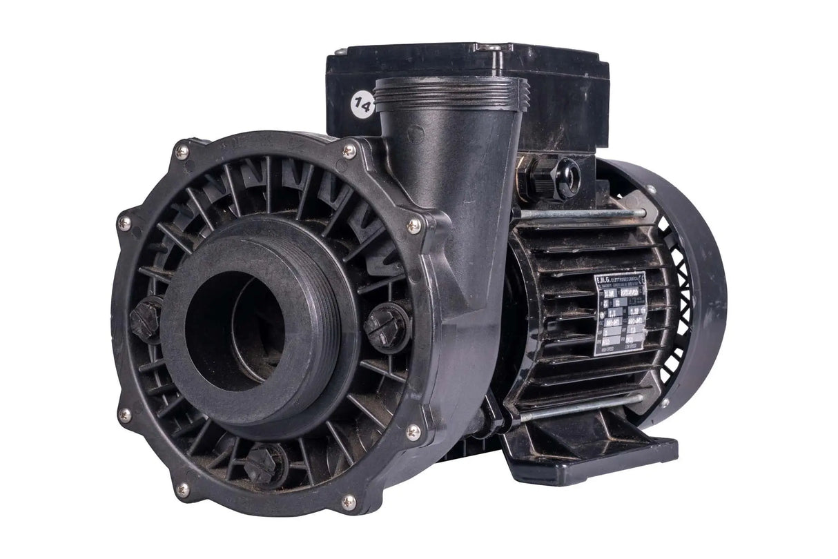 Waterway | Executive Euro Pump - 3 HP, Dual Speed Waterway