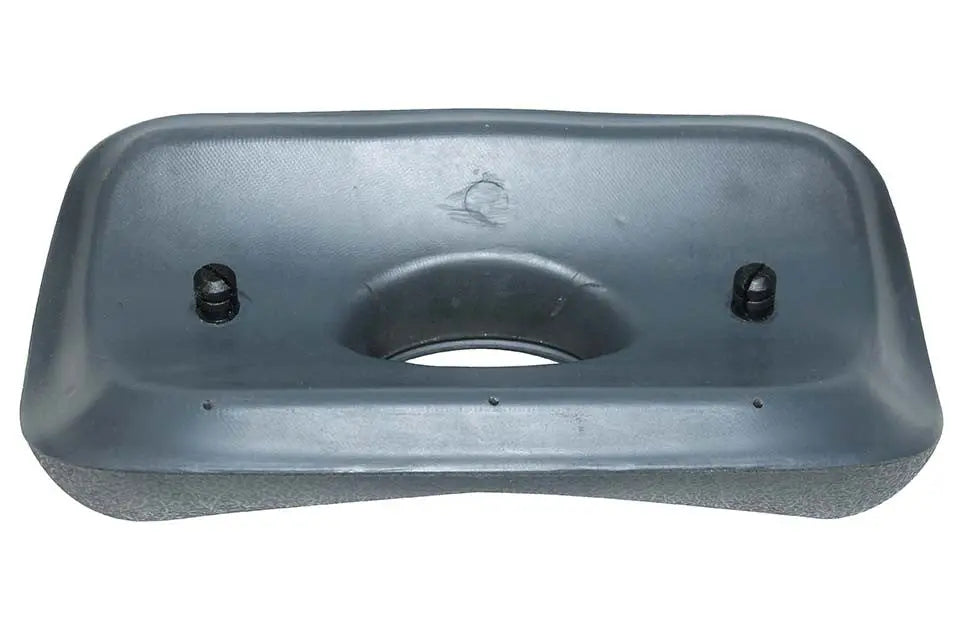 Passion | Small Rectangular Pillow Passion